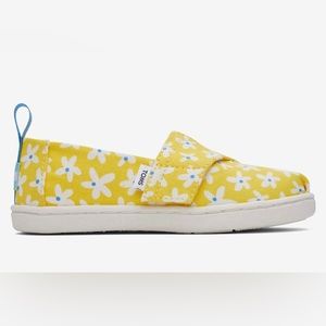Toddler girl Toms